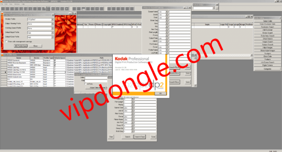 KODAK PROFESSIONAL DP2